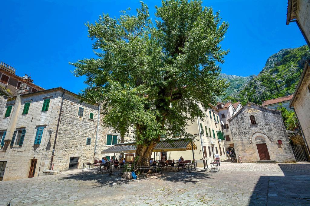 Tajami Apartments Kotor Exterior foto